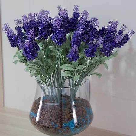 Hotel Glorija Medjugorje